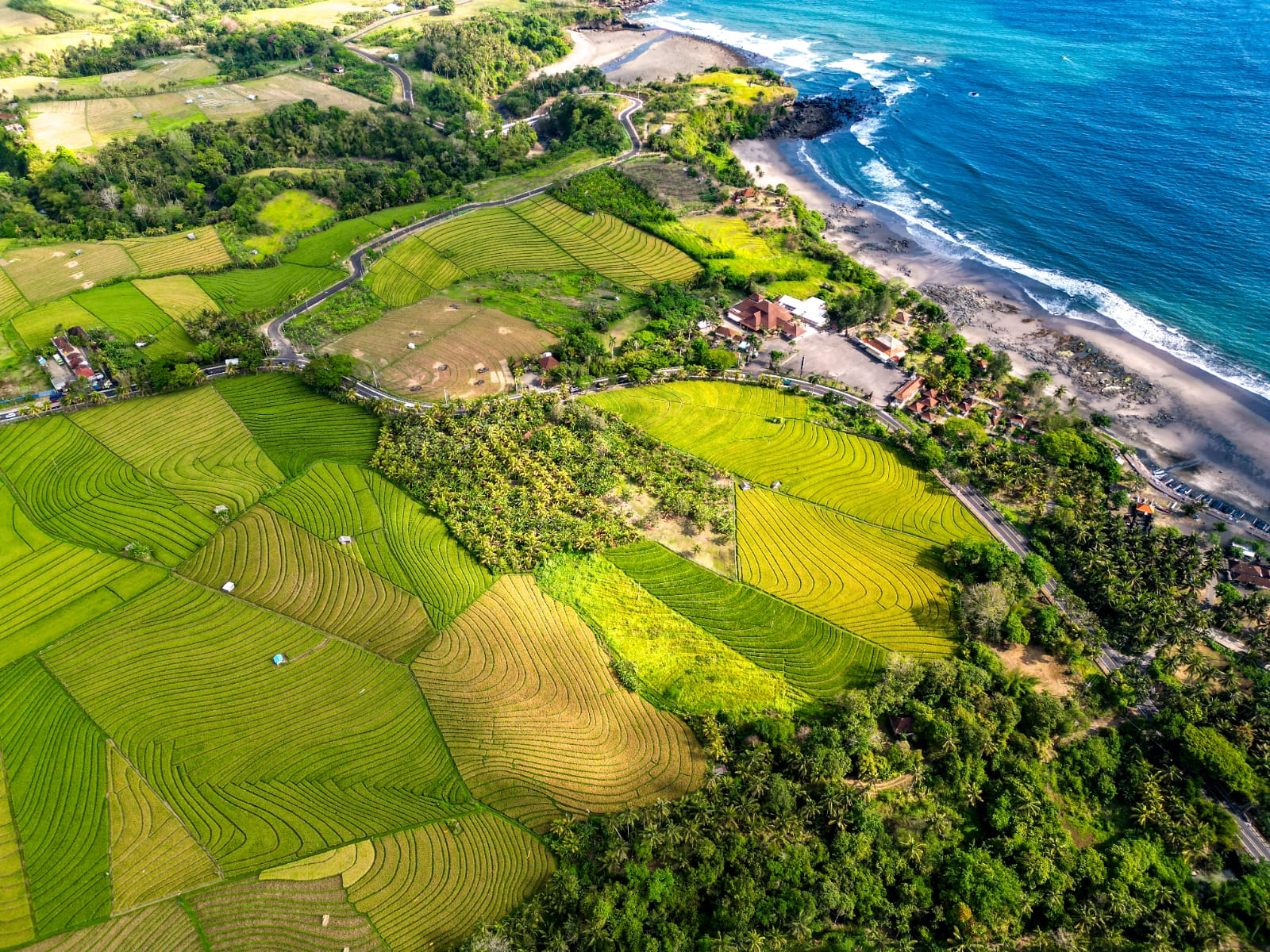 Dijual Tanah Di Beberapa Area Bali
